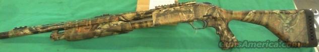 Nib Mossberg Ga Turkey Thug For Sale At Gunsamerica