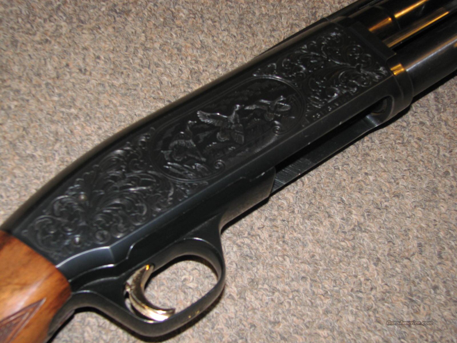 BROWNING BPS ENGRAVED 12 GA For Sale At Gunsamerica 901678645