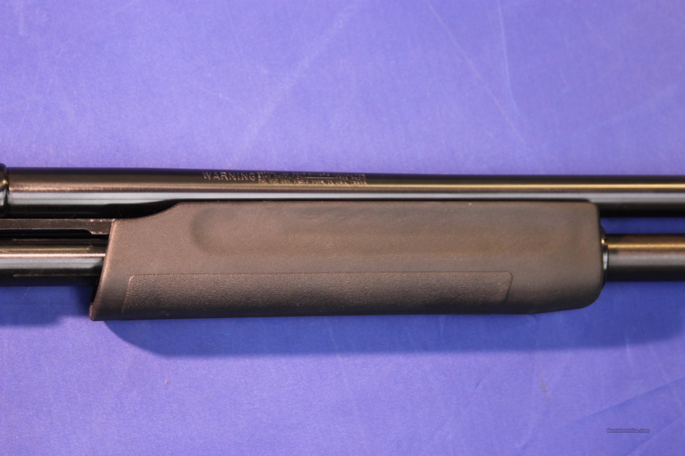 Mossberg essay 20 image