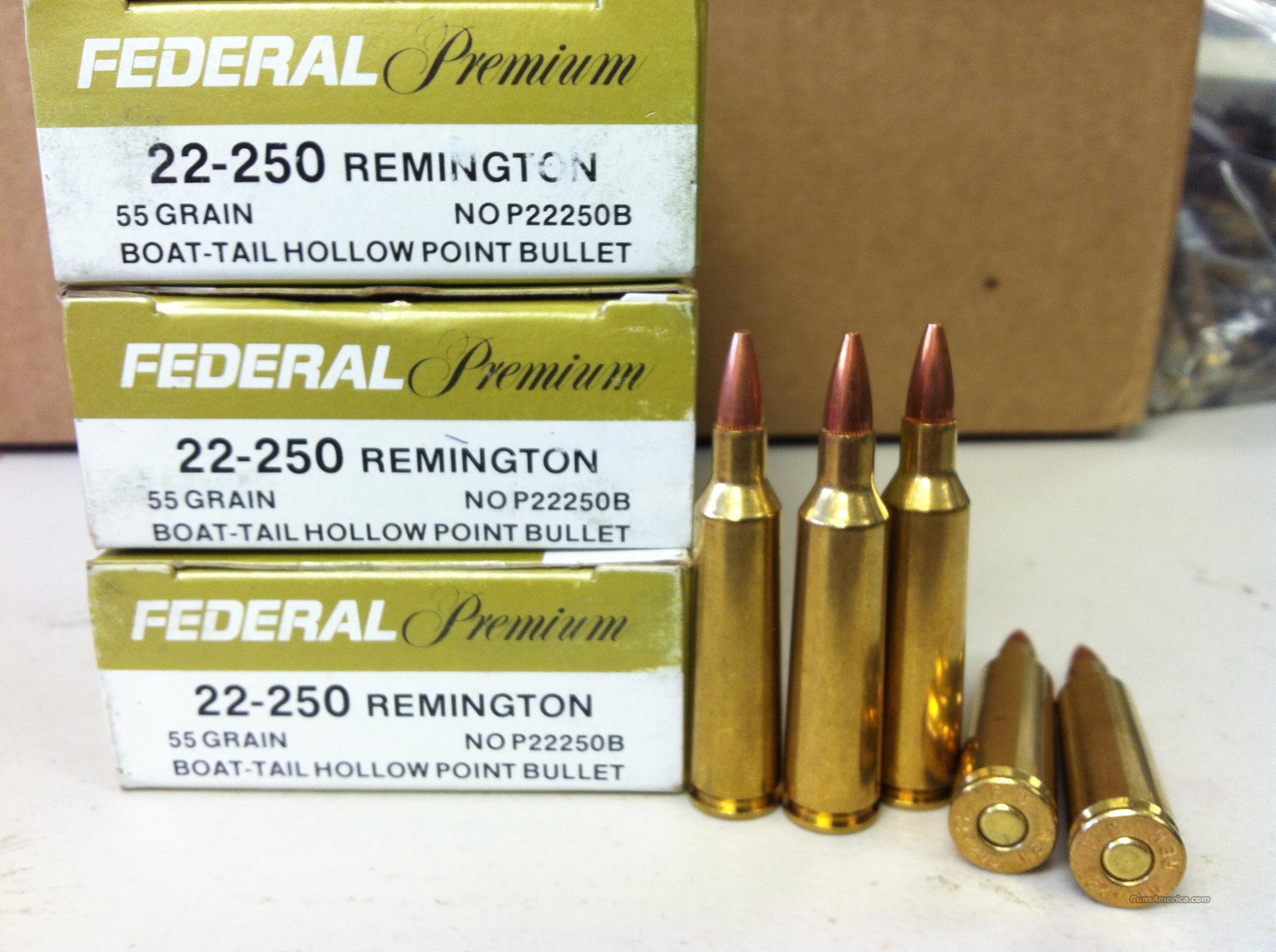 22 250 ammo in stock 22 250 ammunition ammobuy