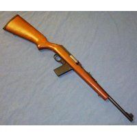 Marlin Camp Gun