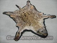 Hyena Skin