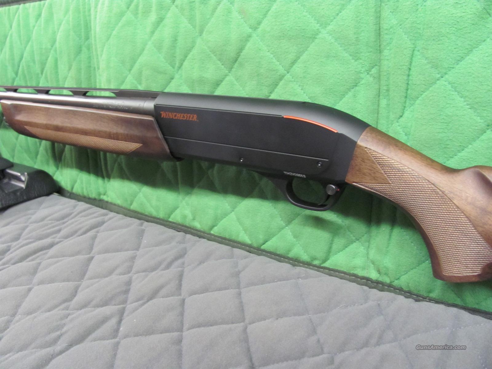 Winchester Sx3 Field 2026 New For Sale At