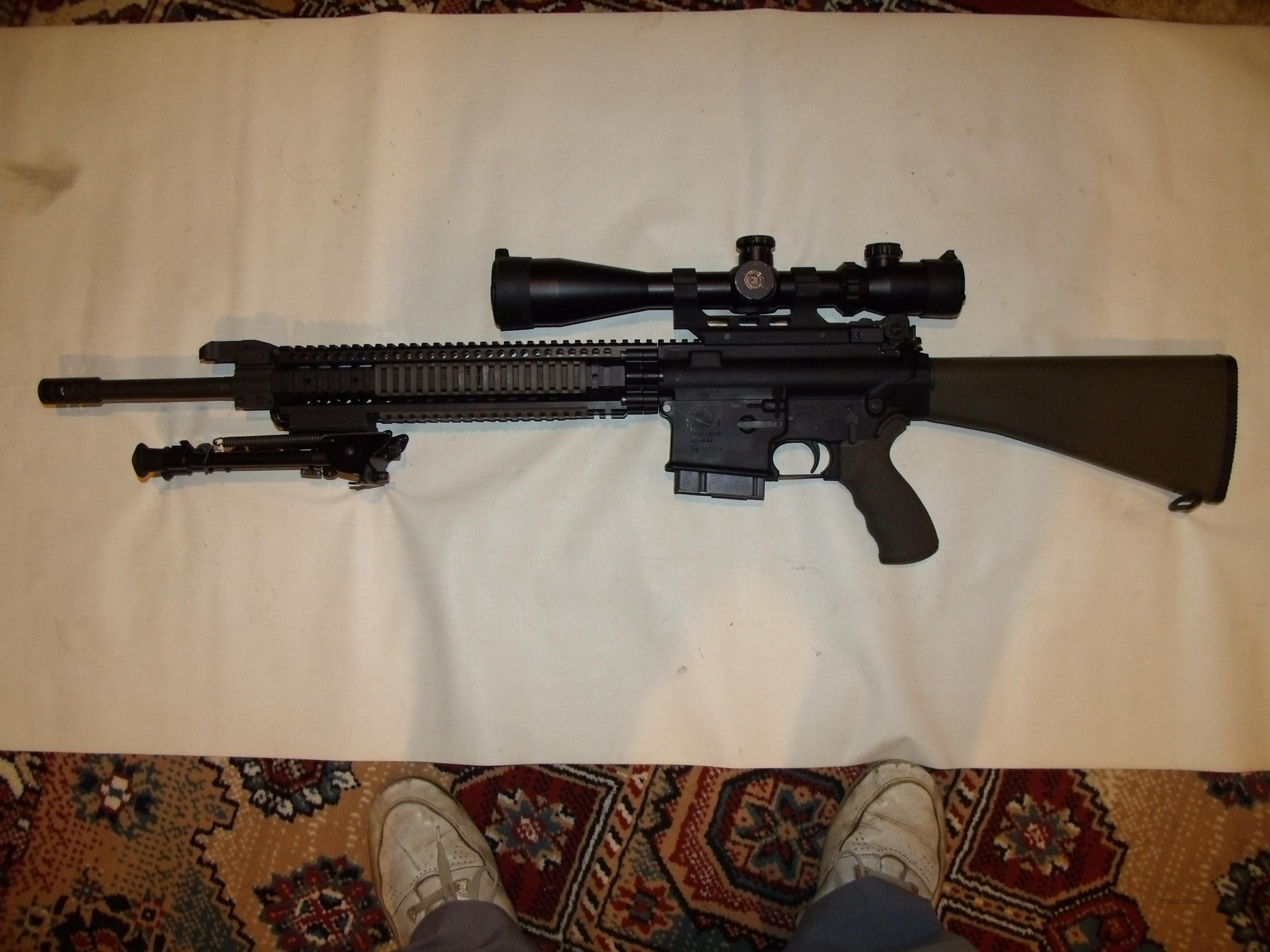 Armalite Ar 10a4 243 For Sale At 967110446