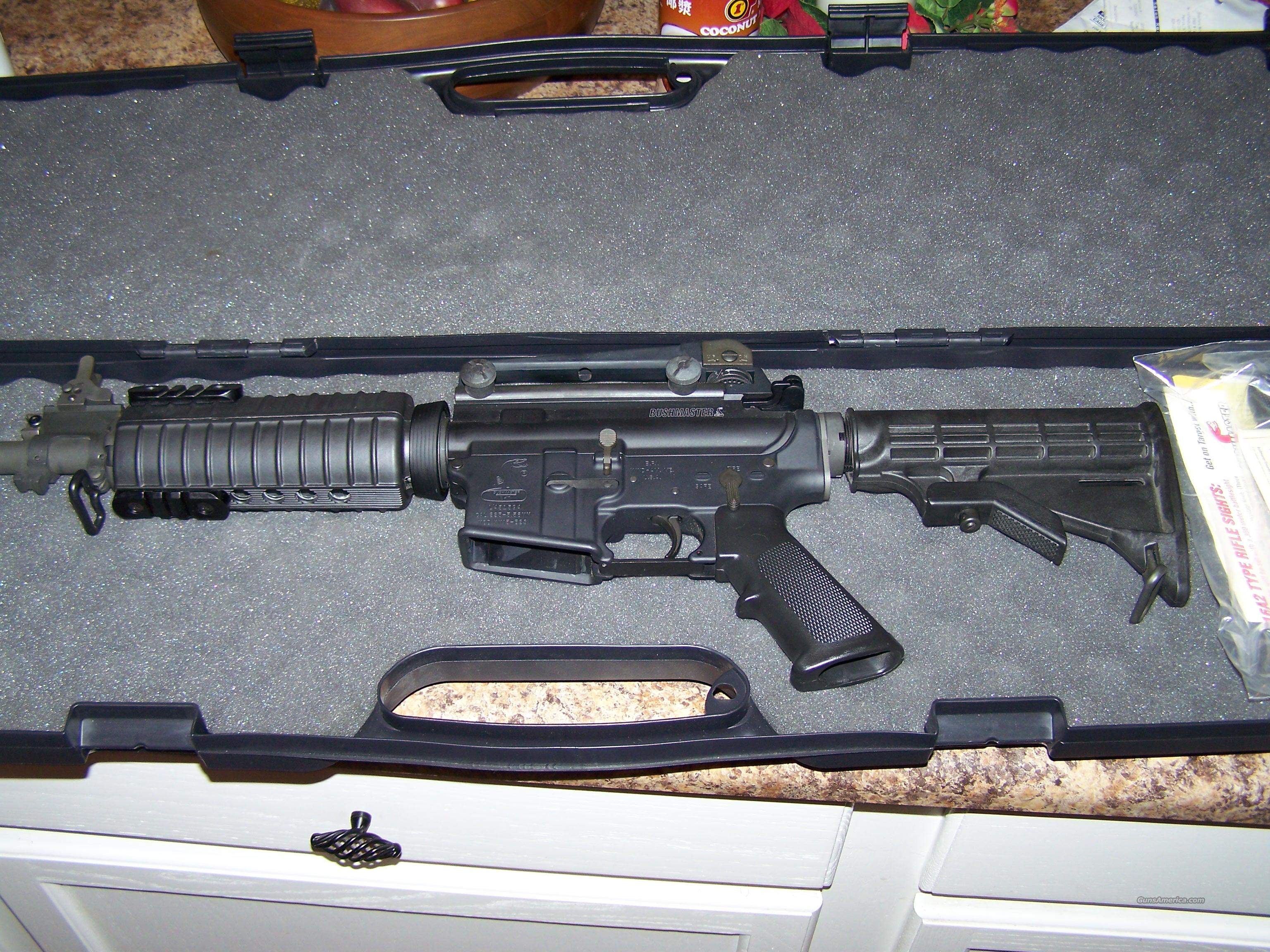 Bushmaster XM-15 E2S GAS PISTON RIF... for sale at Gunsamerica.com ...