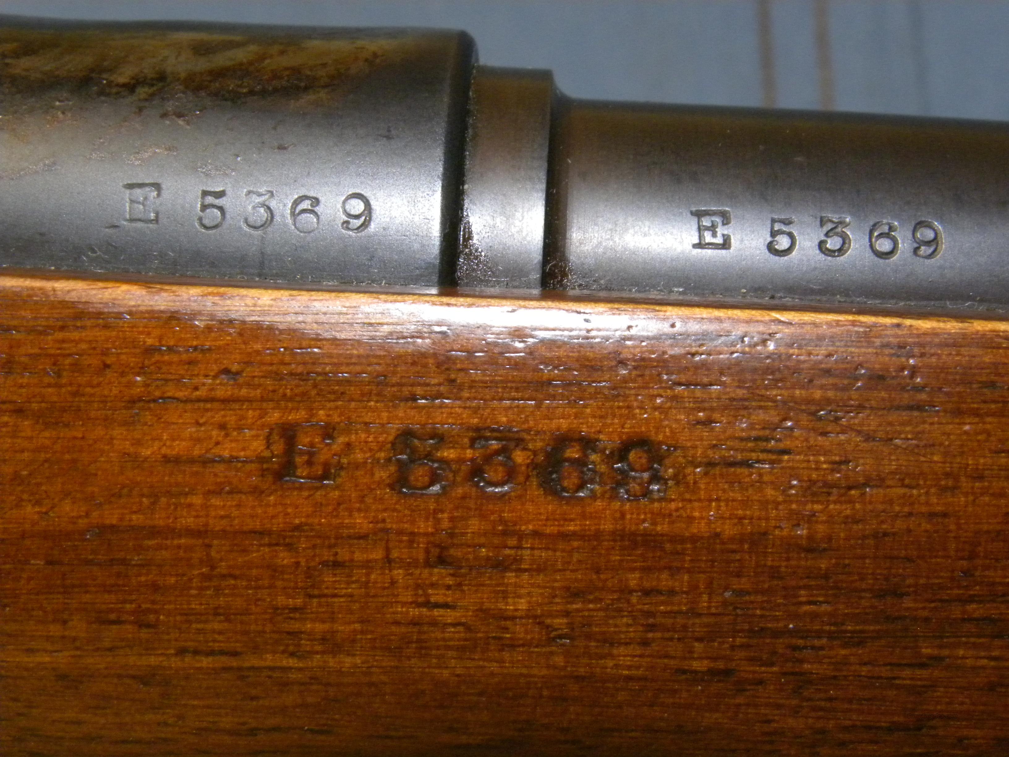 1891 argentine mauser ammo for sale