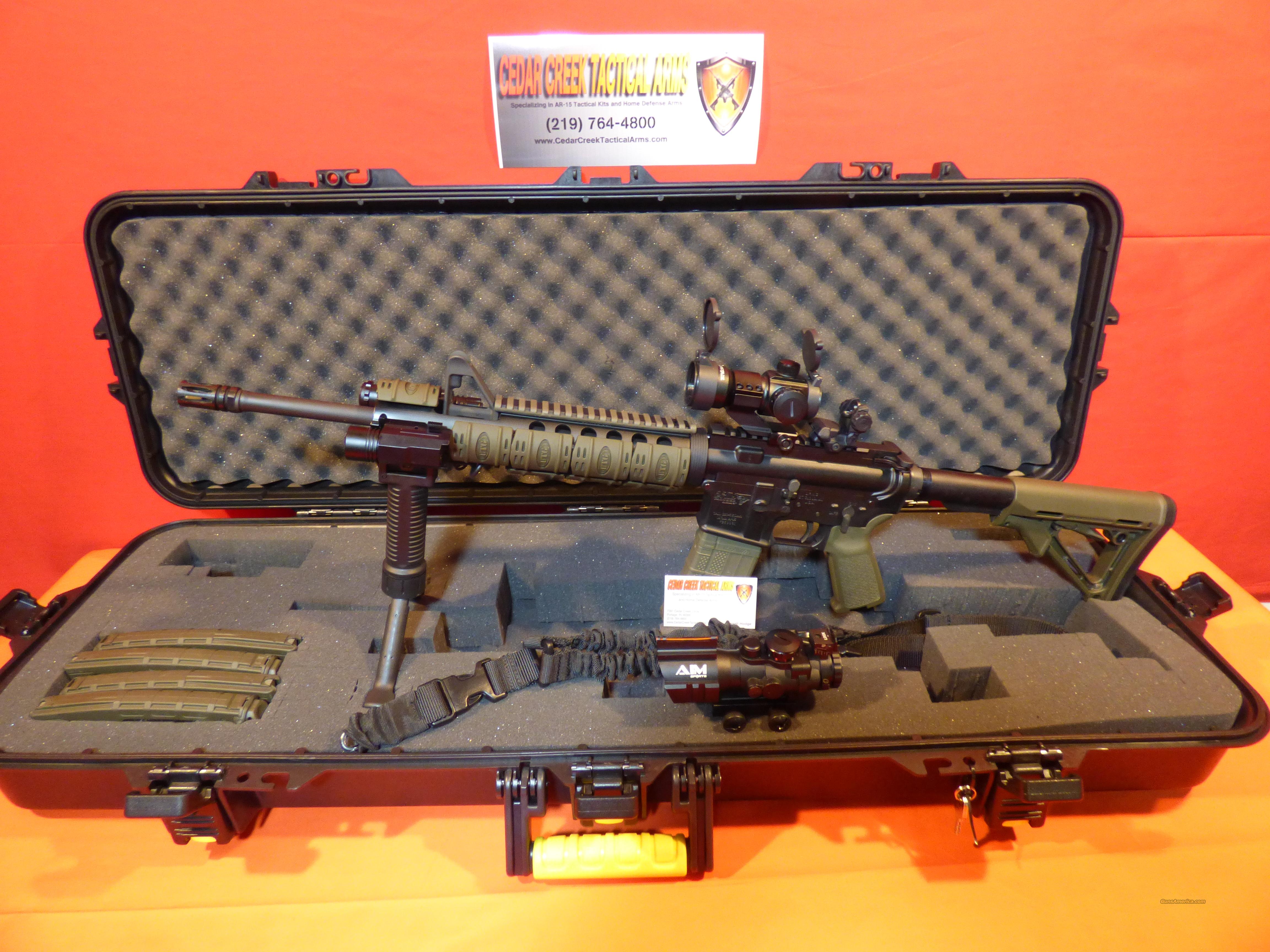 DPMS AR -15 Deluxe Tactical Kit for sale (989756194)