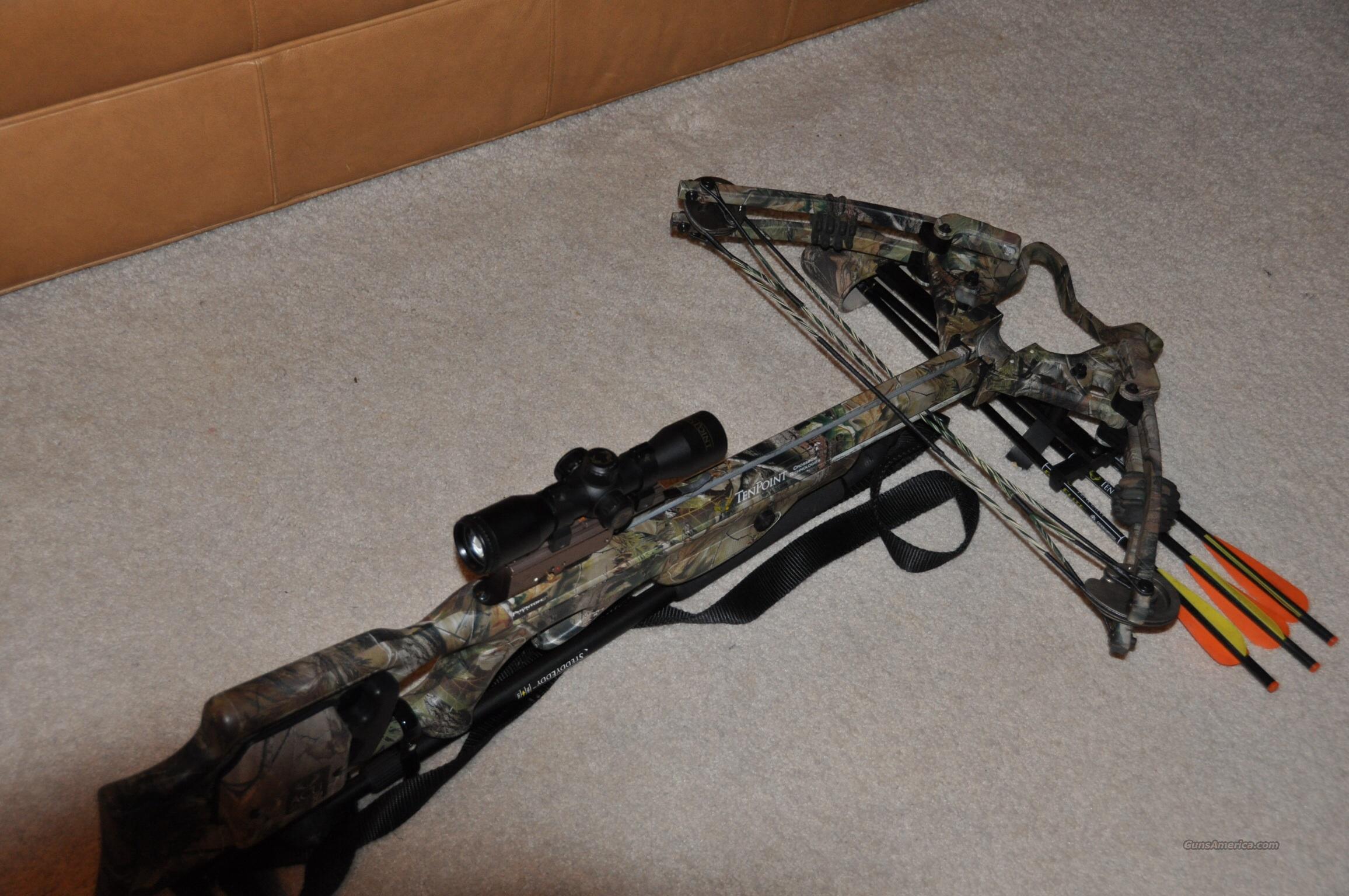 stealth 10 point crossbow