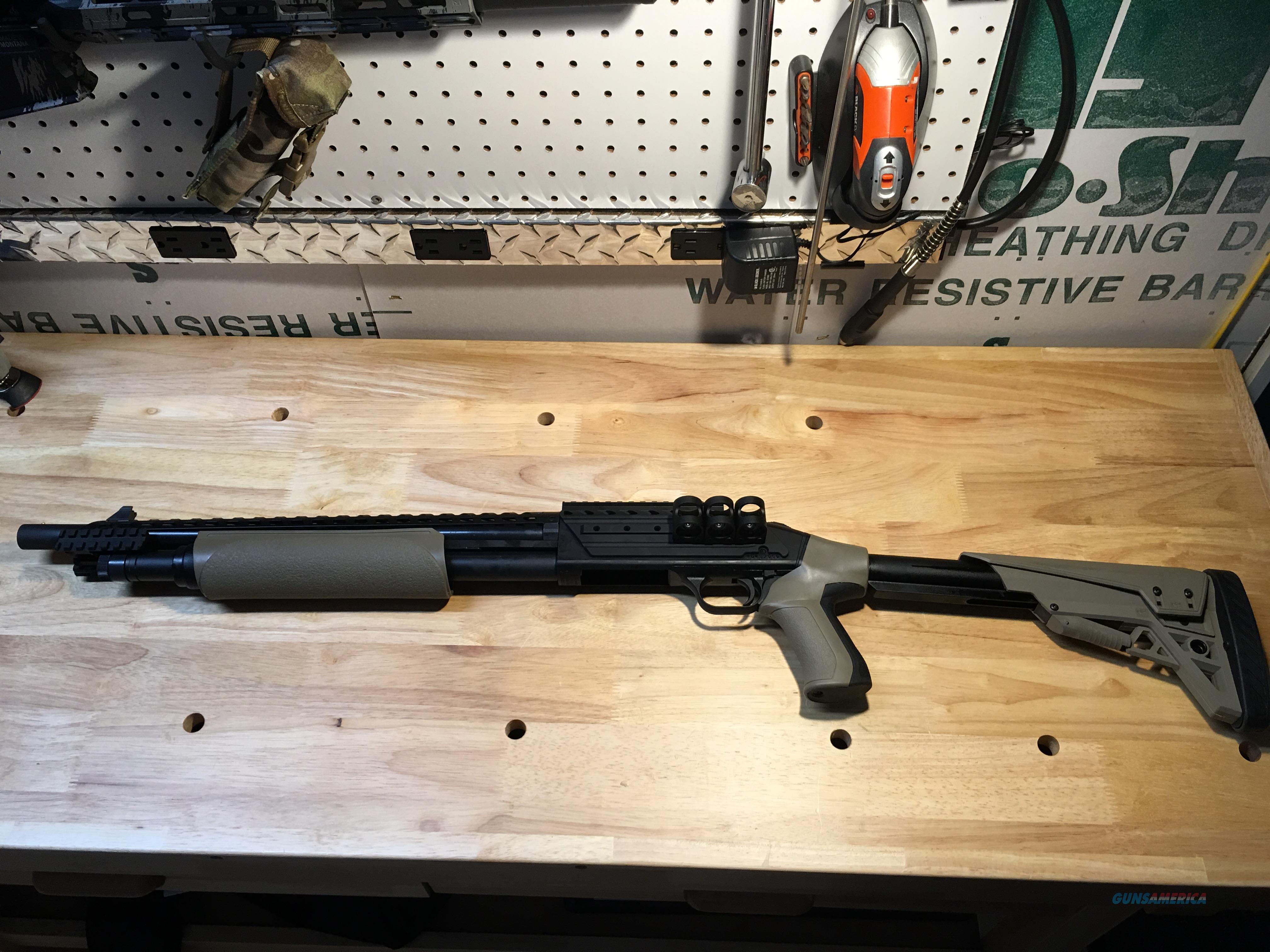 MOSSBERG 500 SCORPION 12 GAUGE TALO... for sale at Gunsamerica.com ...