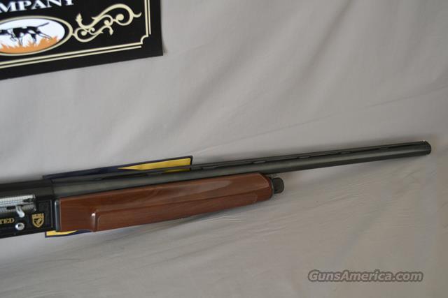 Beretta A303 12 Gauge Manual