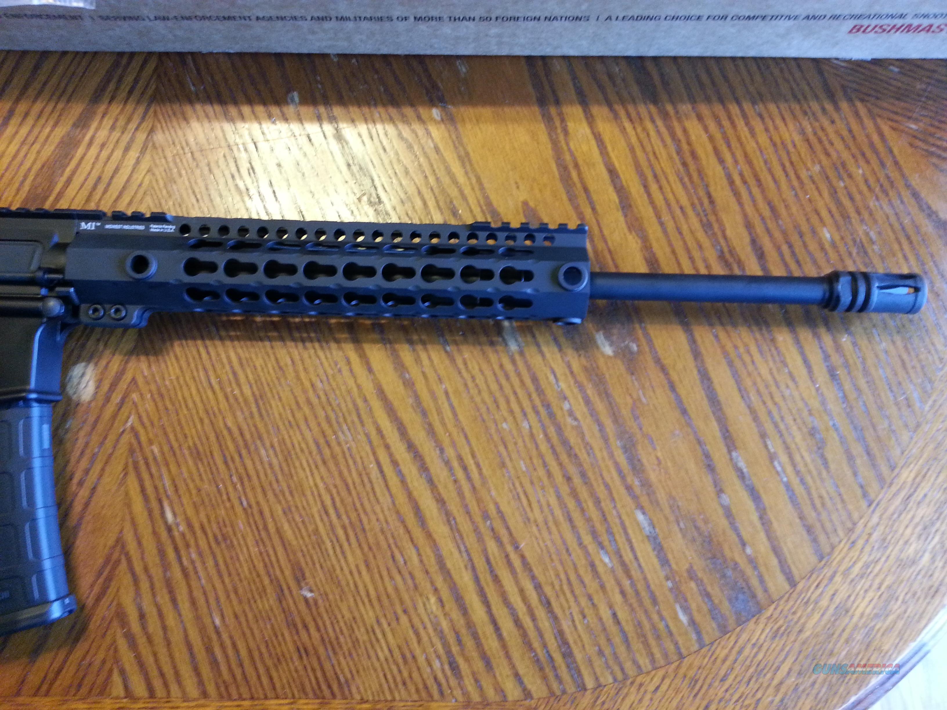 Bushmaster AR15 AR 15 Custom 5.56/2... for sale at Gunsamerica.com ...