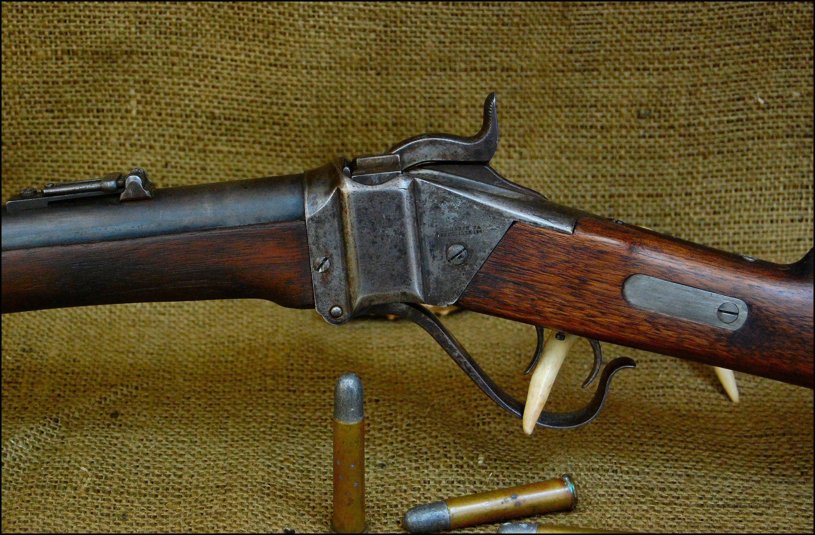 45 70 Sharps Rifle