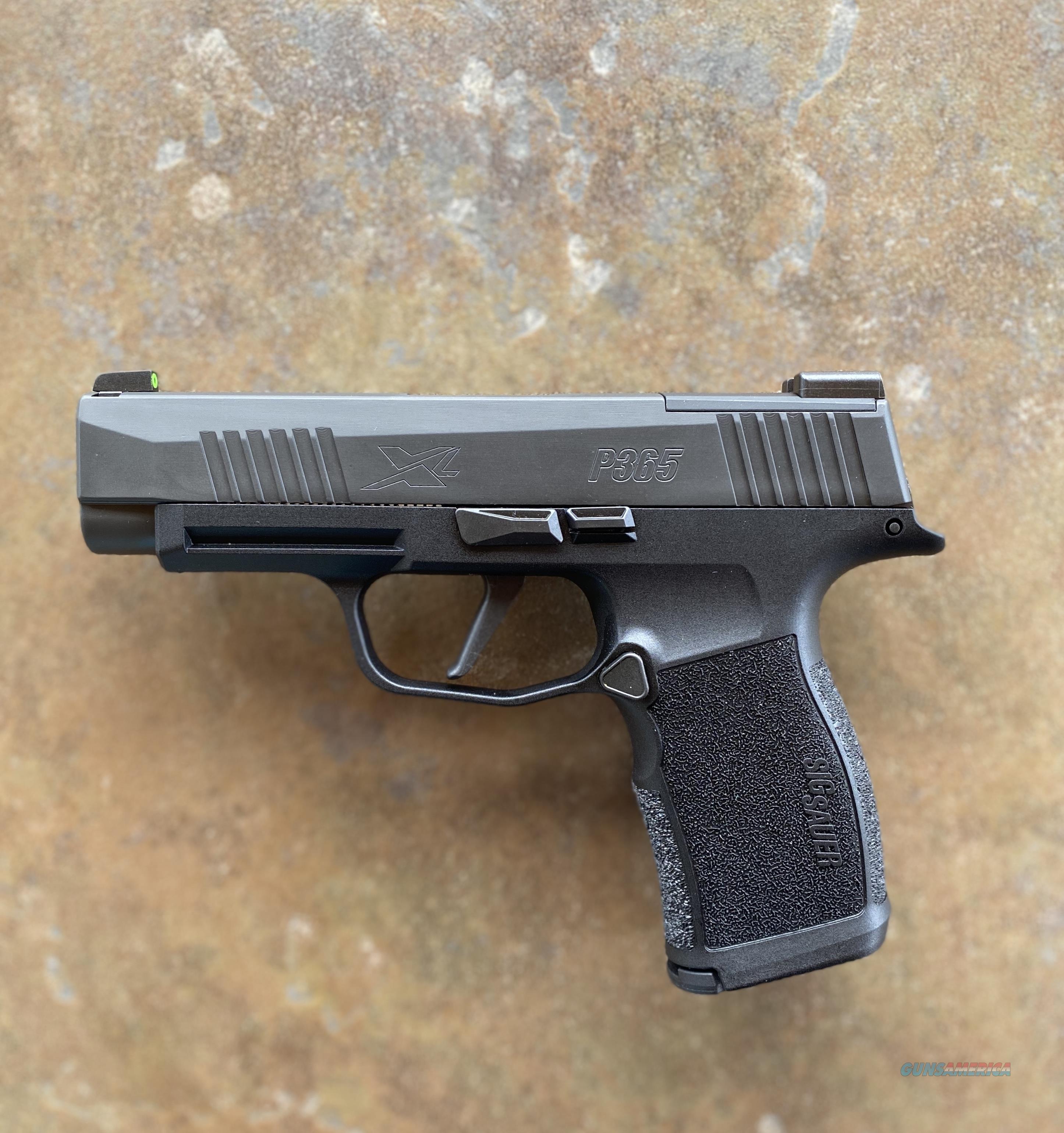 Sig Sauer P365XL X-Ray NS - Lifetim... for sale at Gunsamerica.com ...