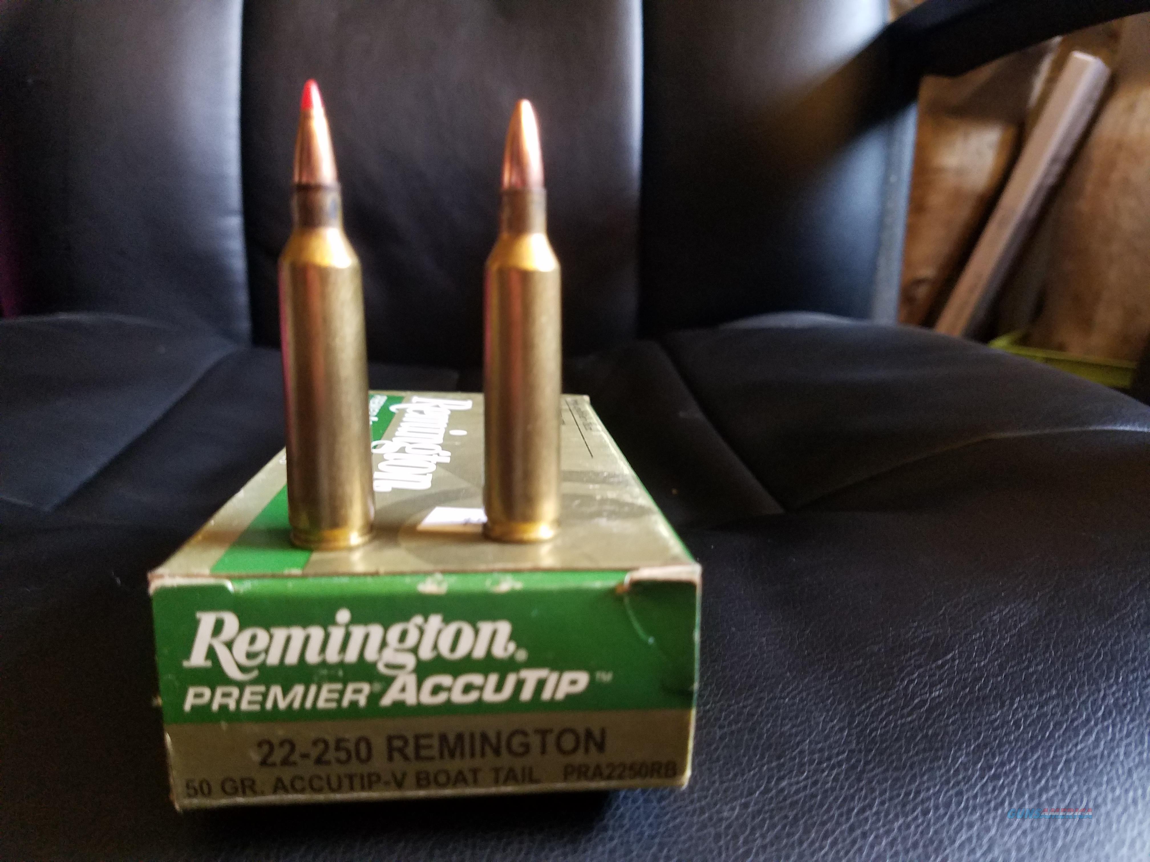 22-250-ammo-for-sale-at-gunsamerica-921256424