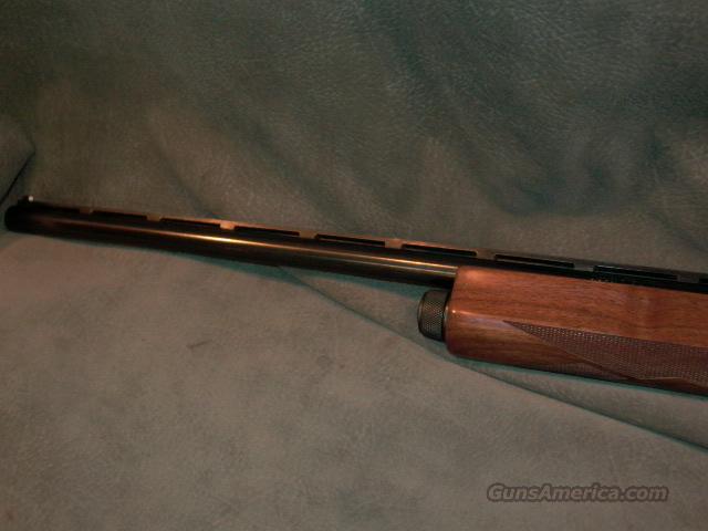 Remington 1100 Special Field 20ga For Sale At 973556977 0741