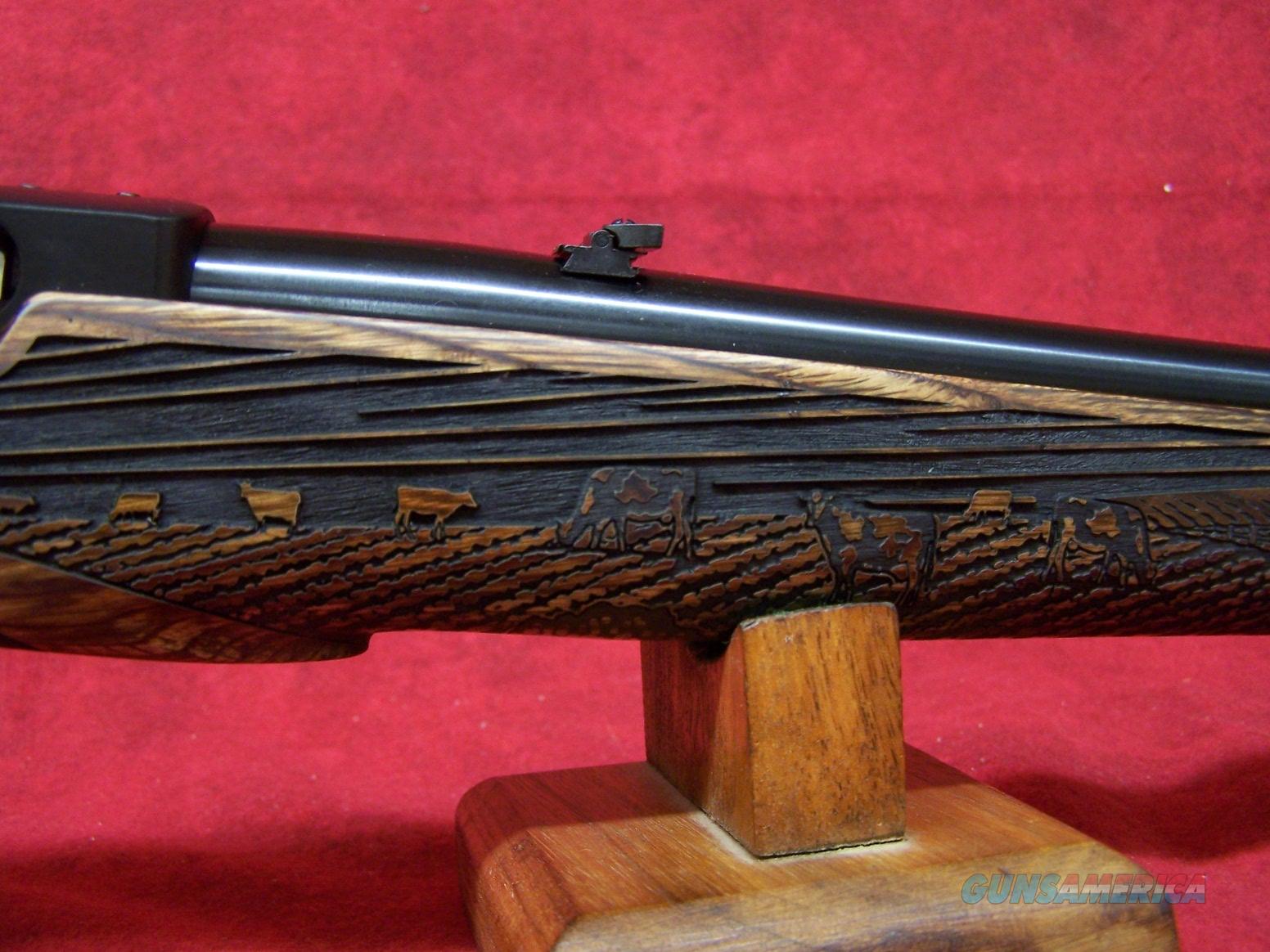 Ruger 1022 American Farmer Edition For Sale At 951782356 9507