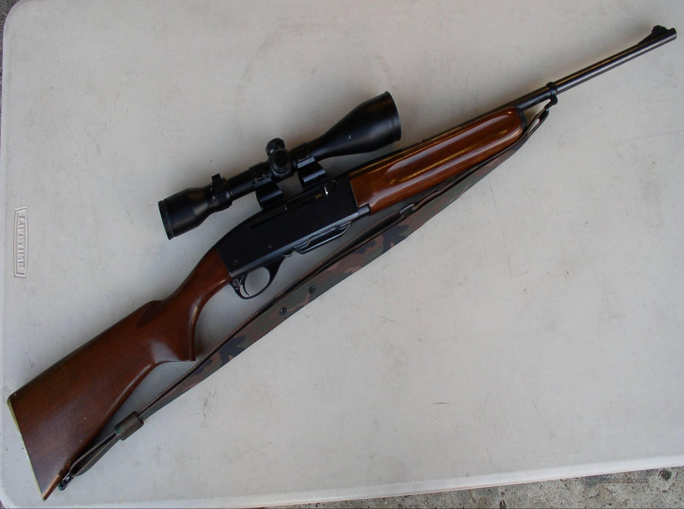 Remington Model 740 for sale at Gunsamerica.com: 962913350