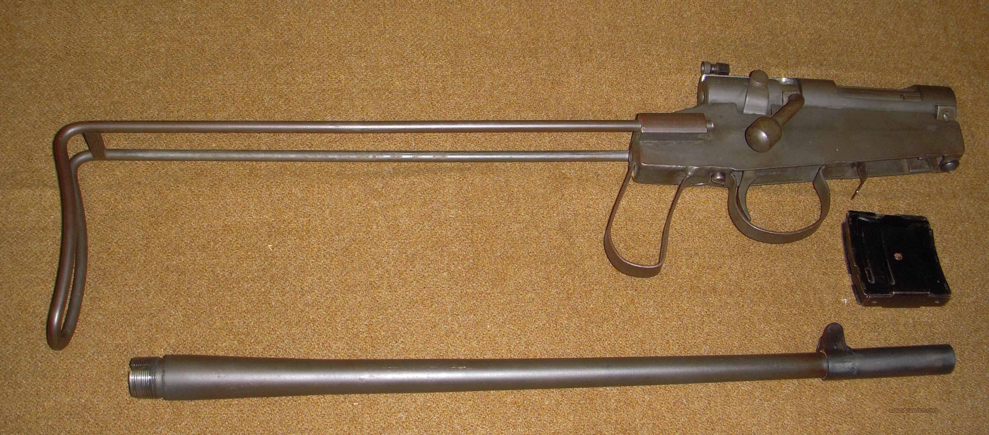 22 Hornet Semi Auto Rifle