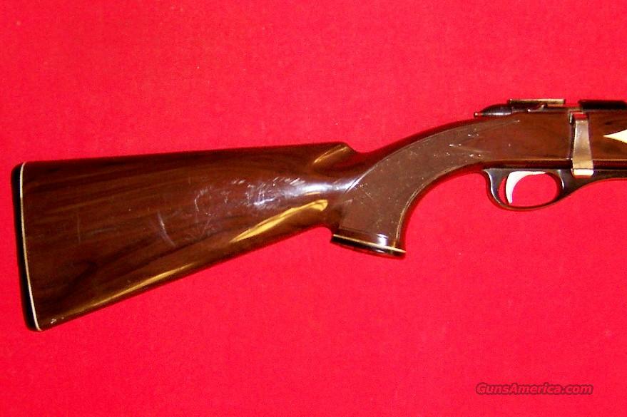 Remington Model Nylon 12 for sale at Gunsamerica.com: 901373644