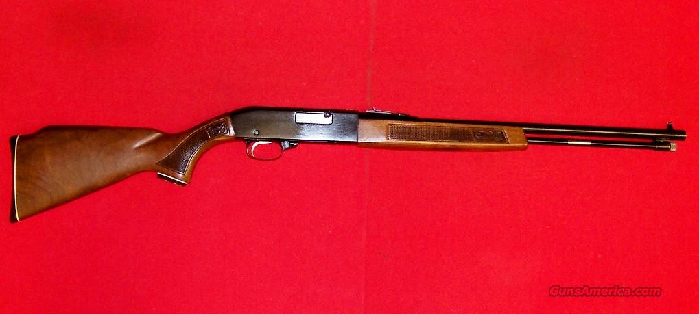 Sears Ted Williams Model 3T (Winche... for sale at Gunsamerica.com ...