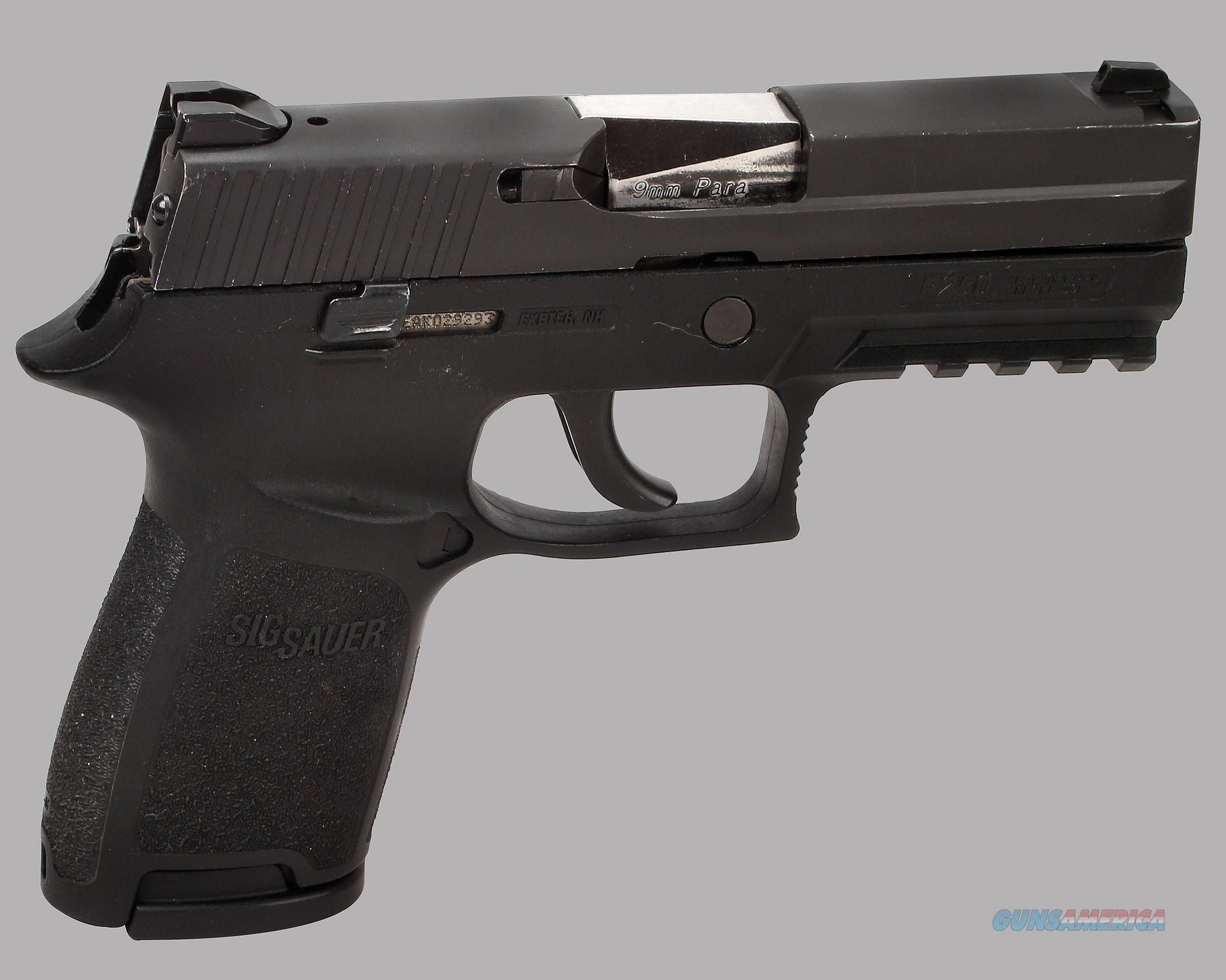 Sig Sauer 9m P250 Pistol for sale at Gunsamerica.com: 918308546