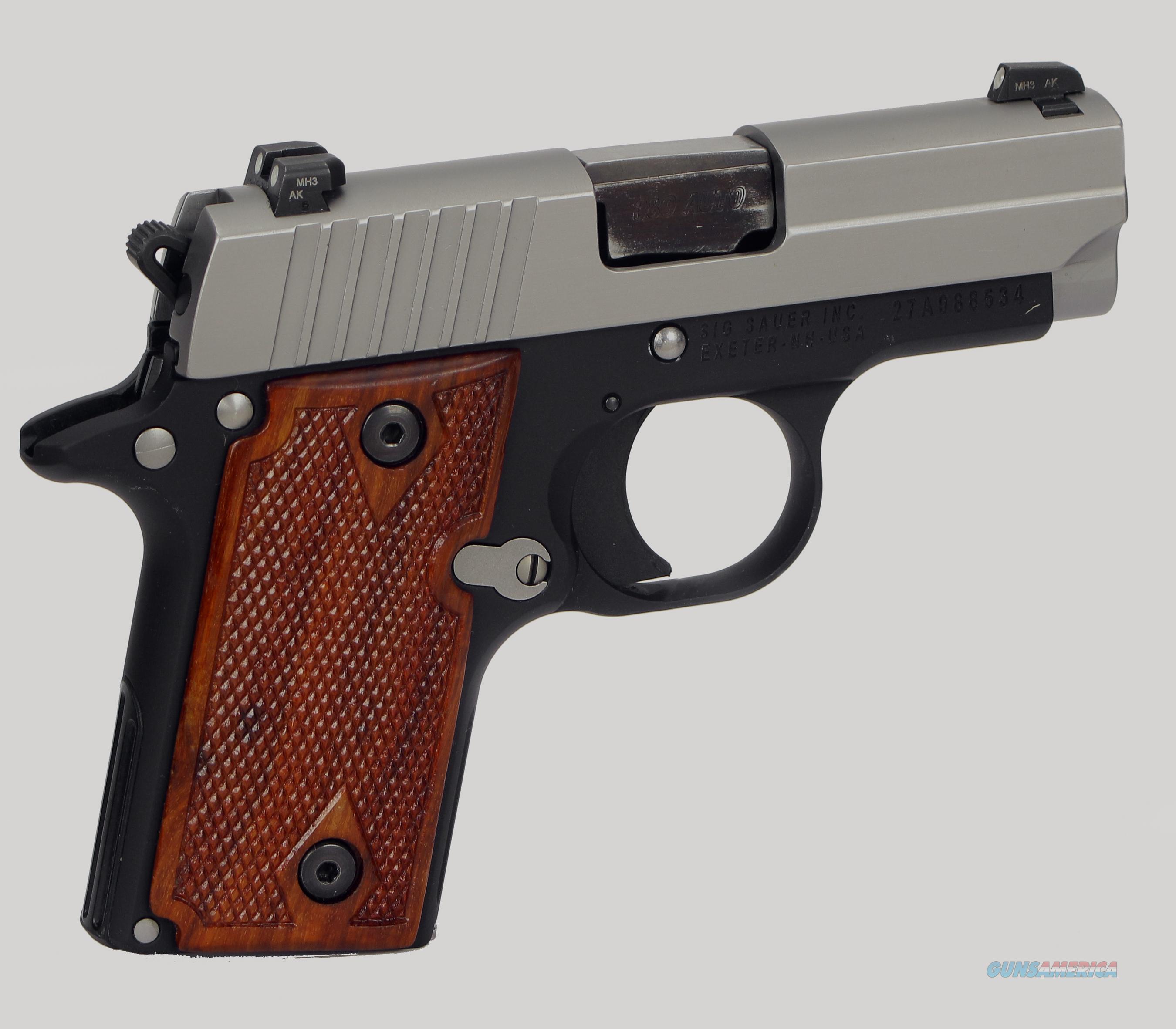 Sig Sauer Model 238 Pistol for sale at Gunsamerica.com: 922381534