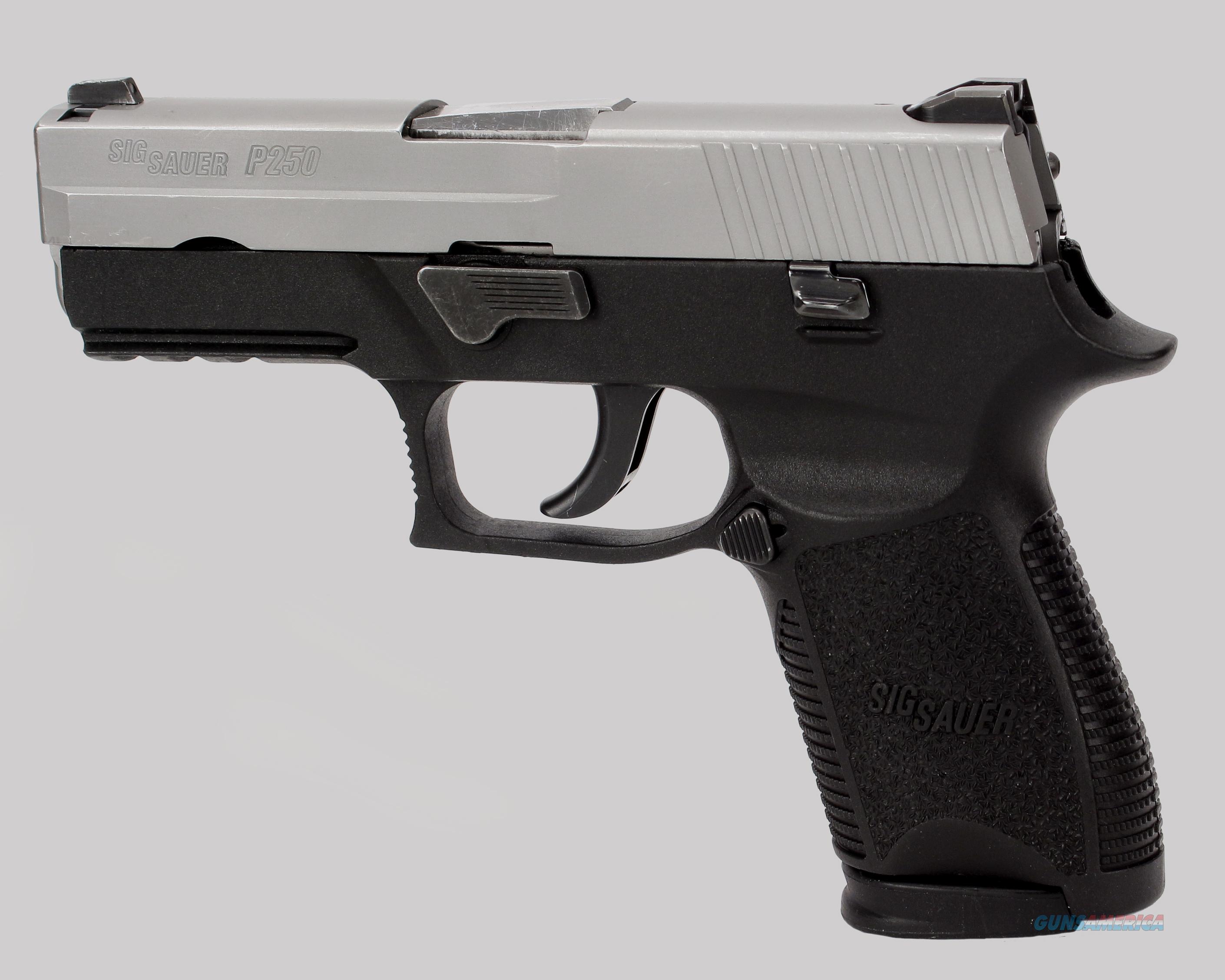 Sig Arms P250 Pistol For Sale At 941719145