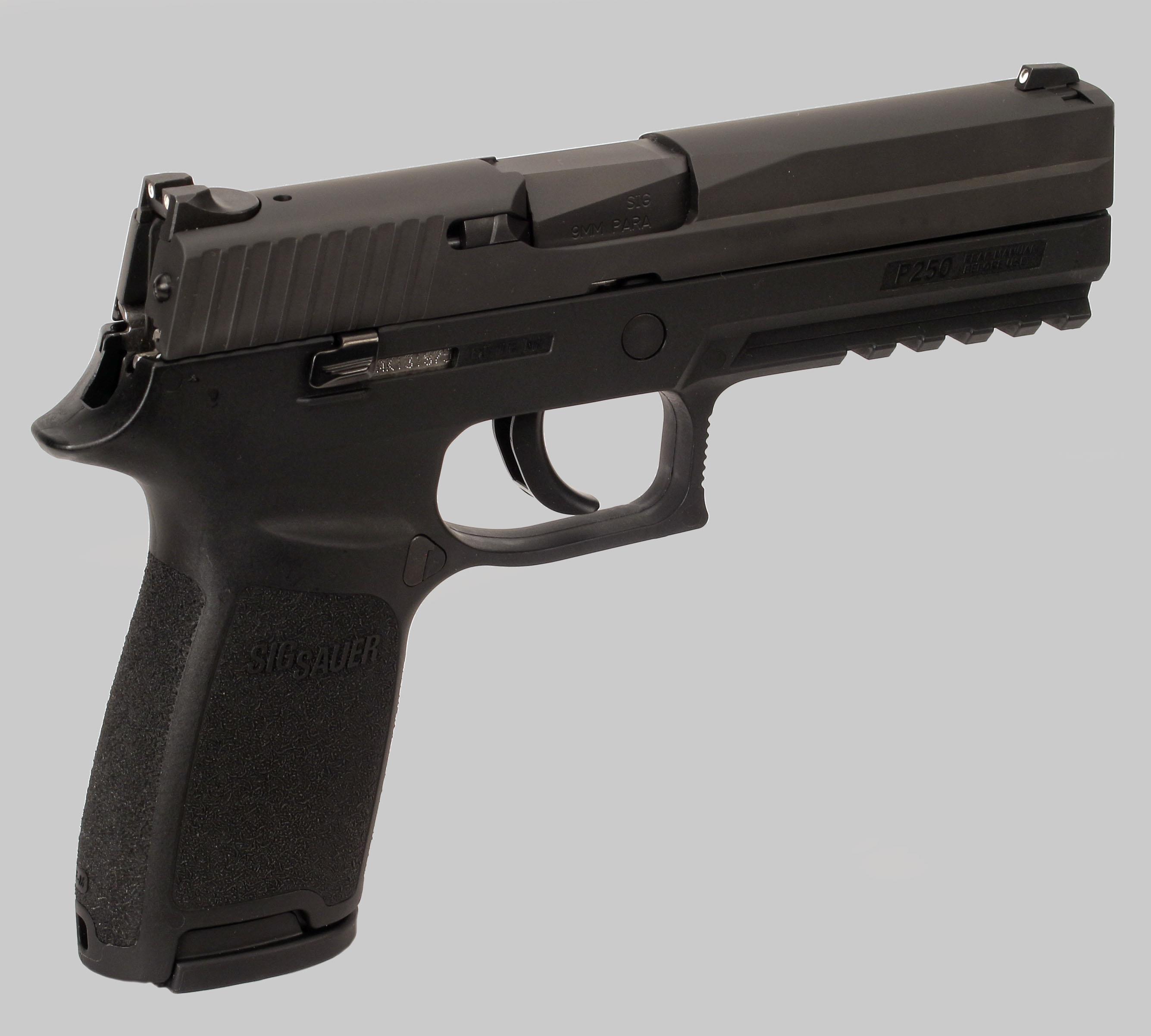 Sig Sauer P250 Pistol for sale at Gunsamerica.com: 965467470