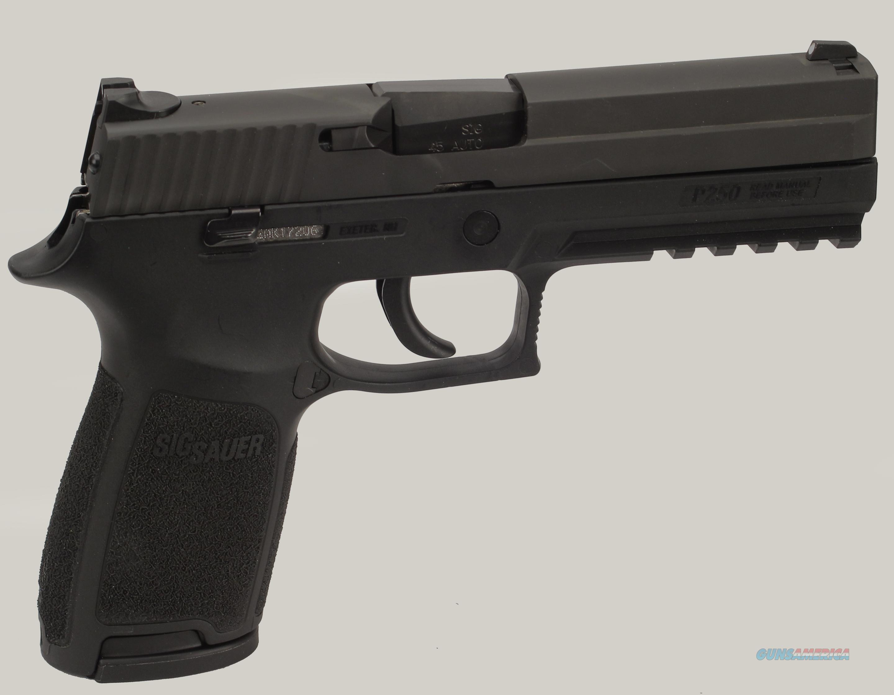 Sig Sauer Model P250 Pistol for sale at Gunsamerica.com: 982347241