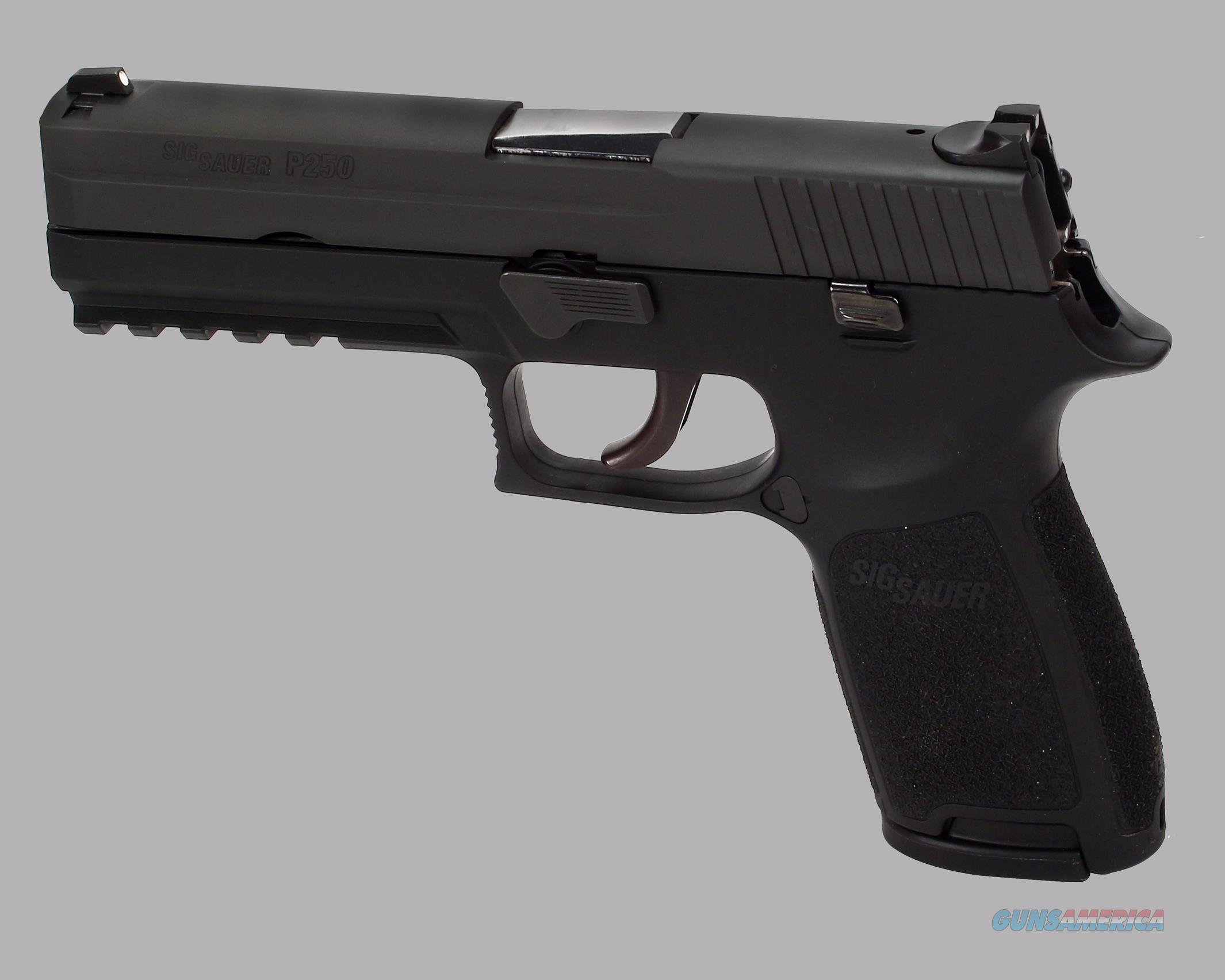 Sig Sauer P250 Pistol for sale at Gunsamerica.com: 999956991