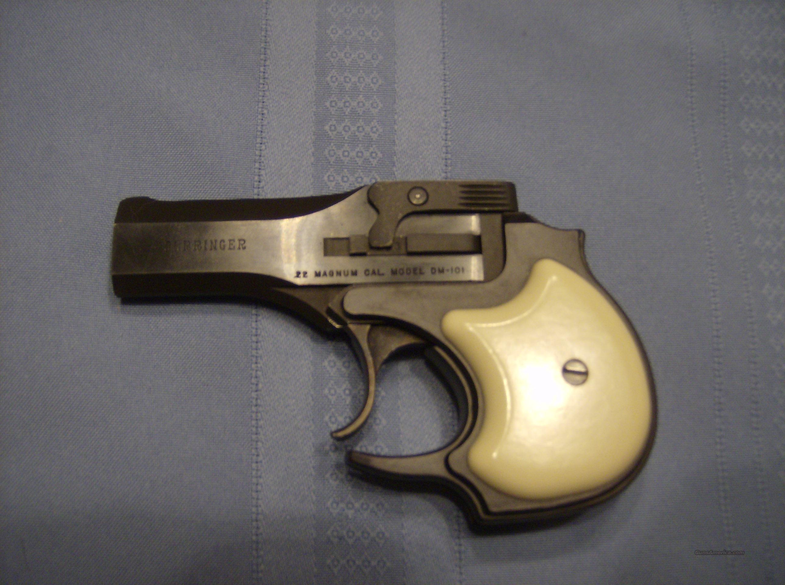 HIGH STANDARD DERRINGER 22 WIN MAG for sale at Gunsamerica.com: 947114245