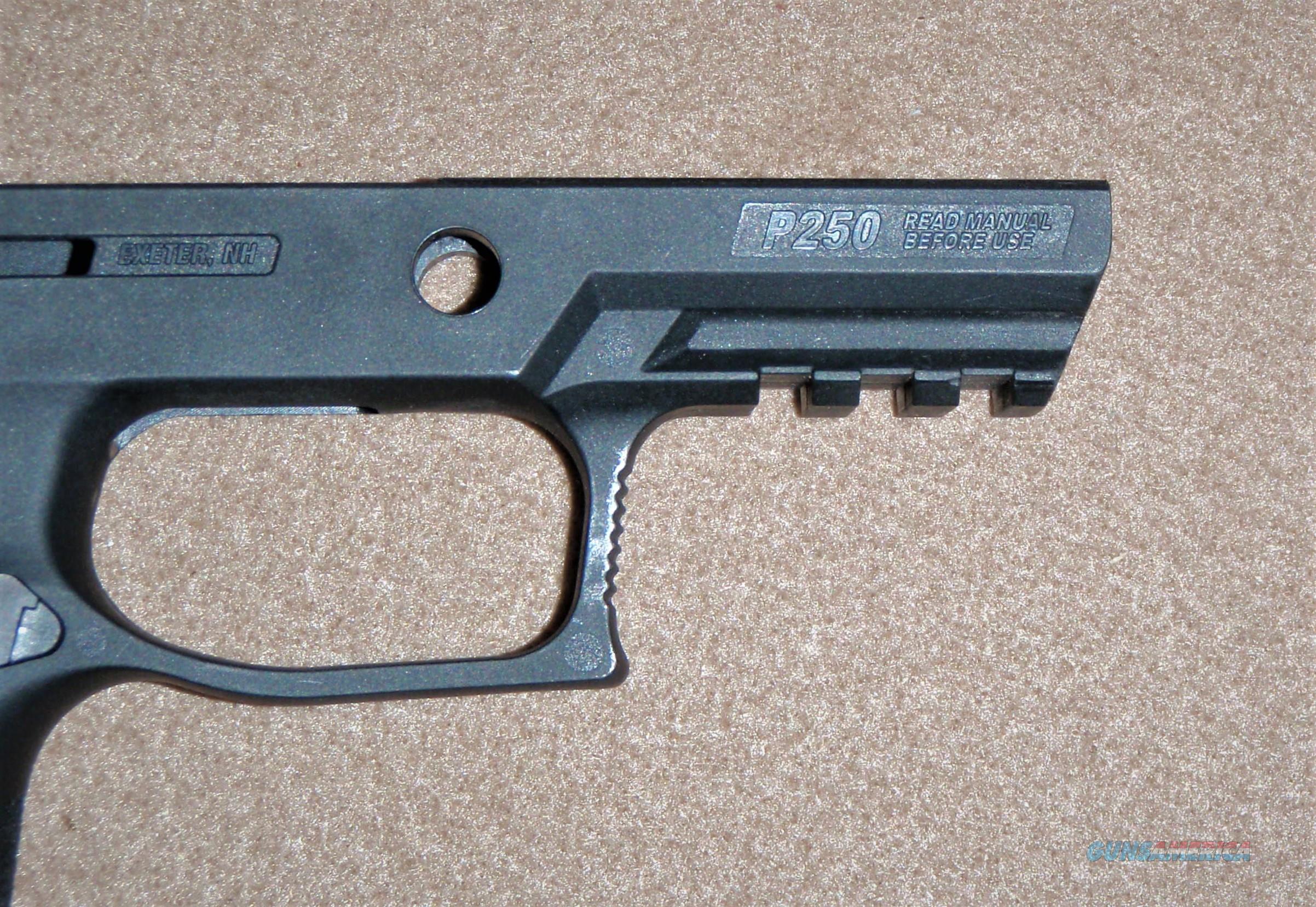 Sig P320 P250 Grip Module Black C For Sale At 993868744 1722