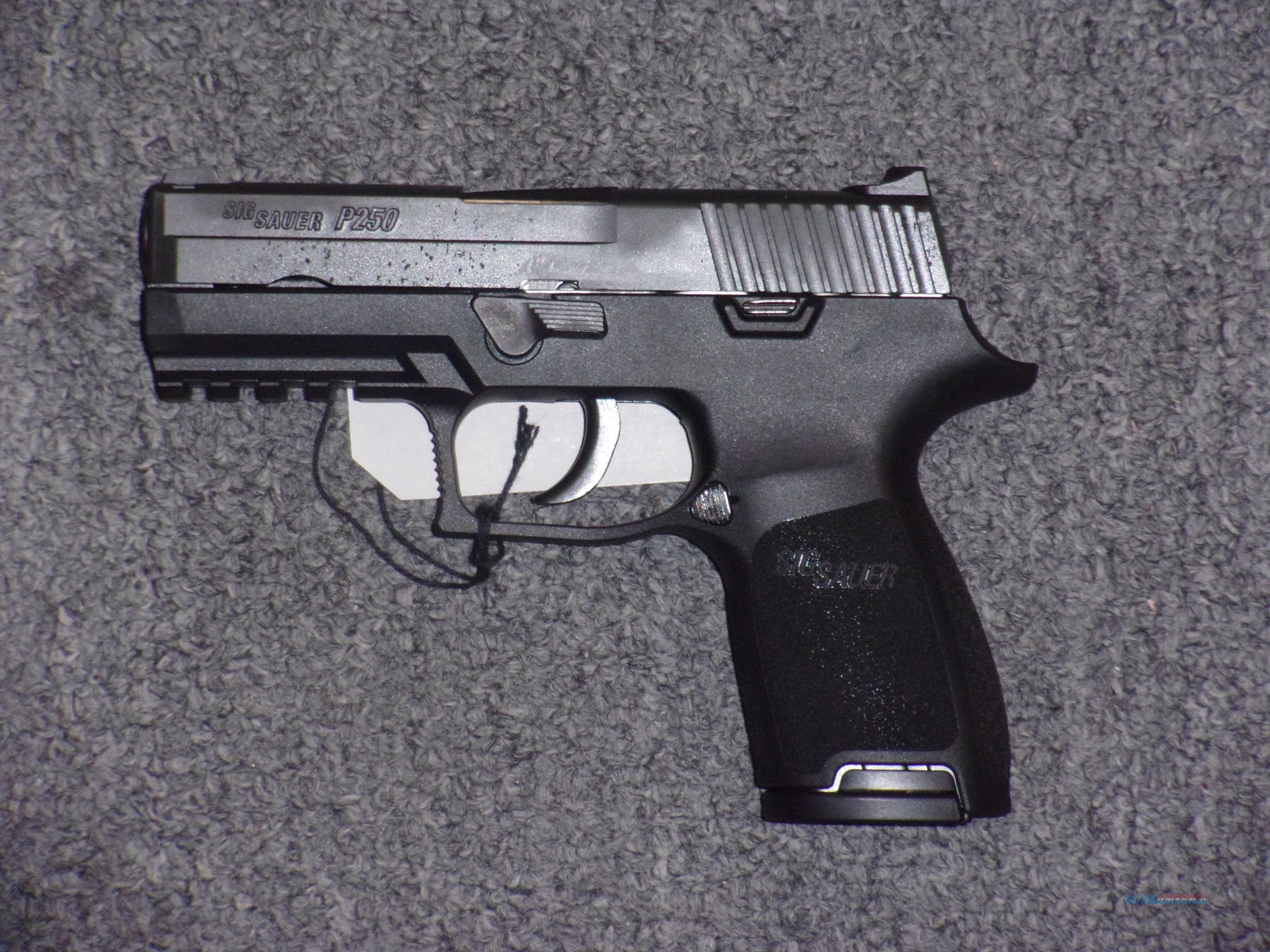 Sig Sauer P250C .45acp for sale at Gunsamerica.com: 906610619