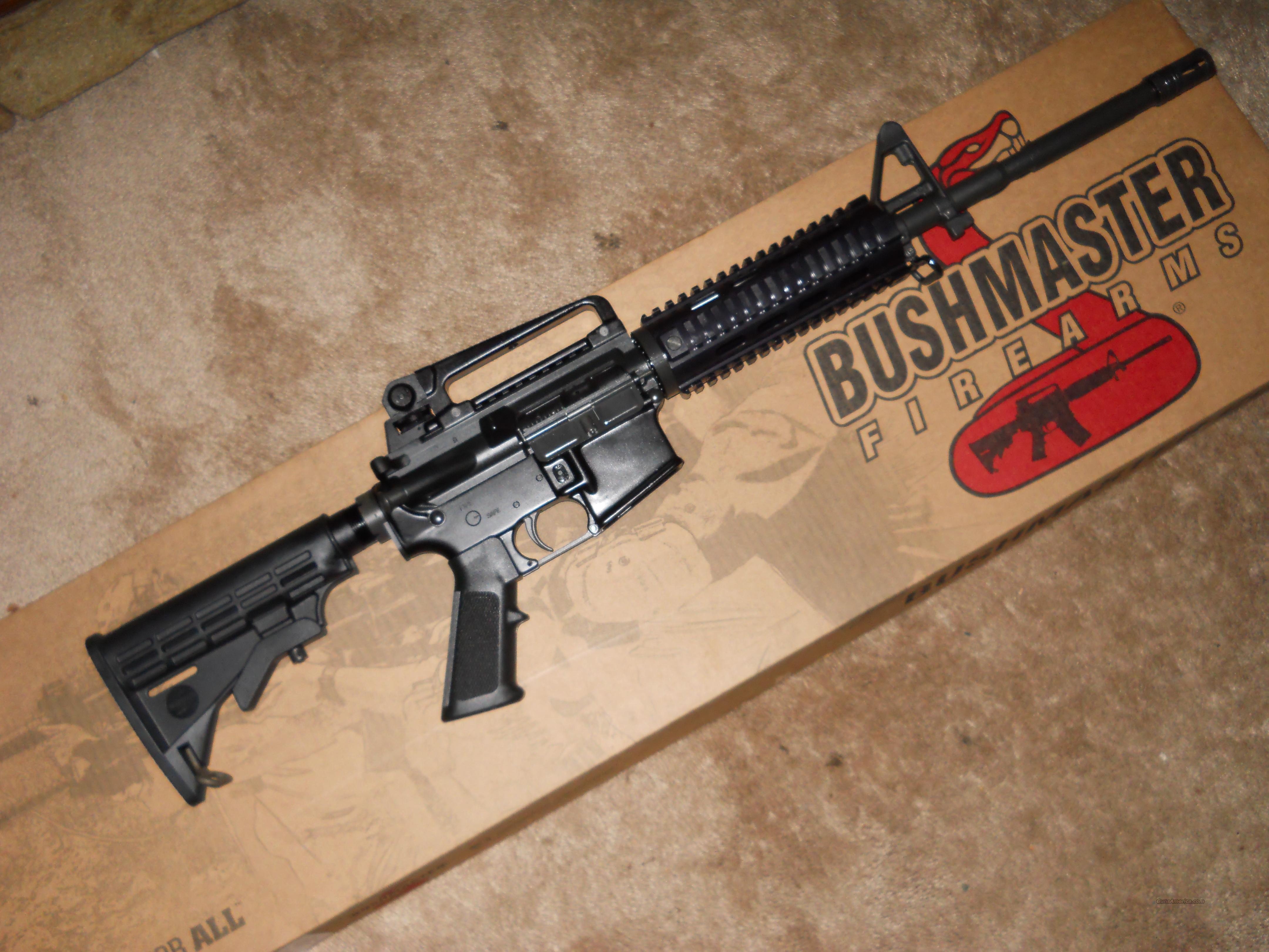 bushmaster m4a3 custom
