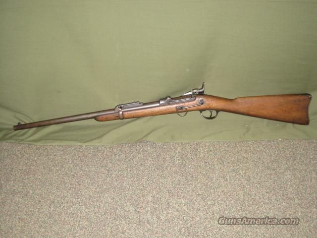 Springfield 1873 Carbine 