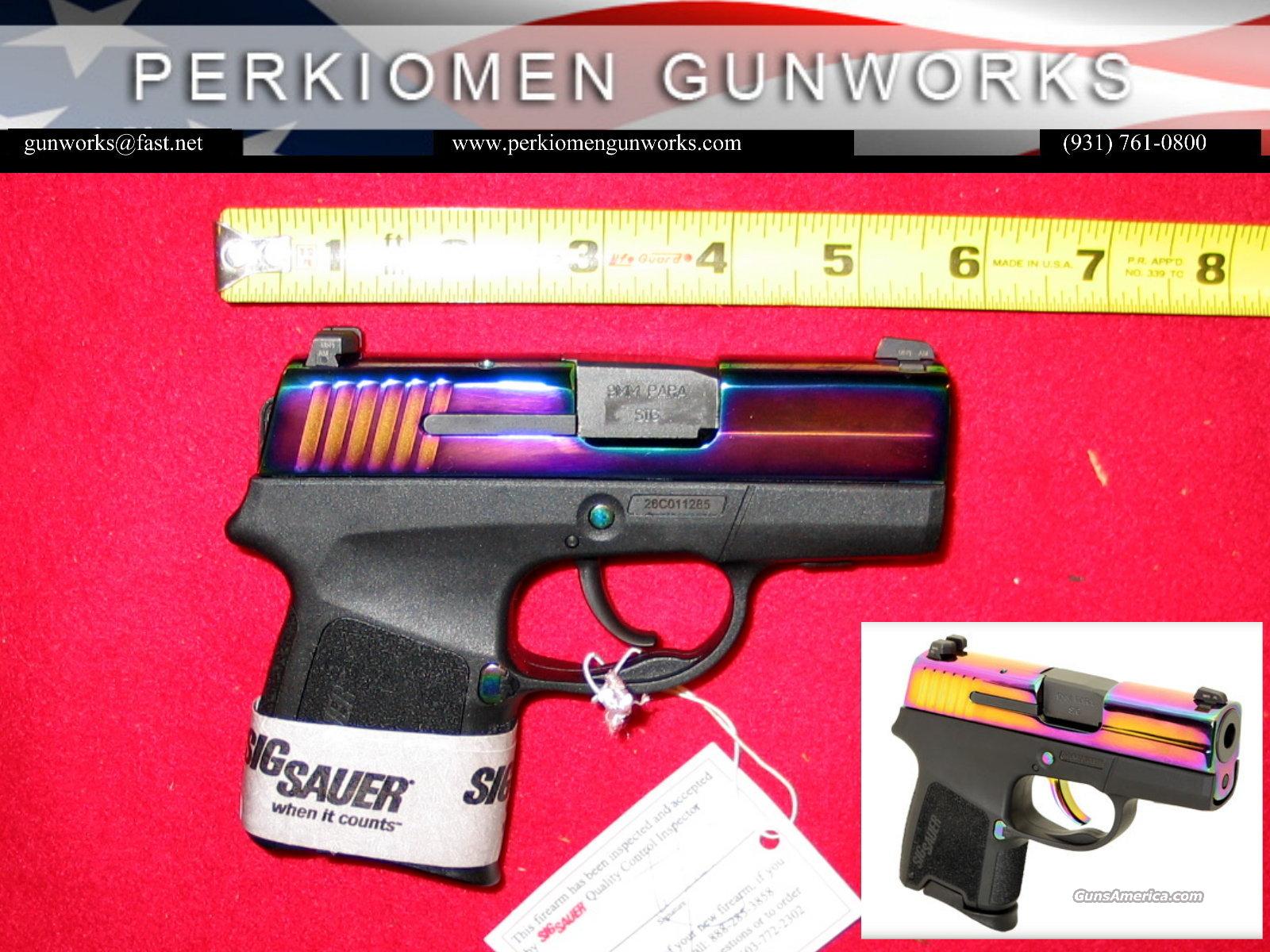 P290 RAINBOW, 9mm, New in Box. for sale at Gunsamerica.com: 932883176