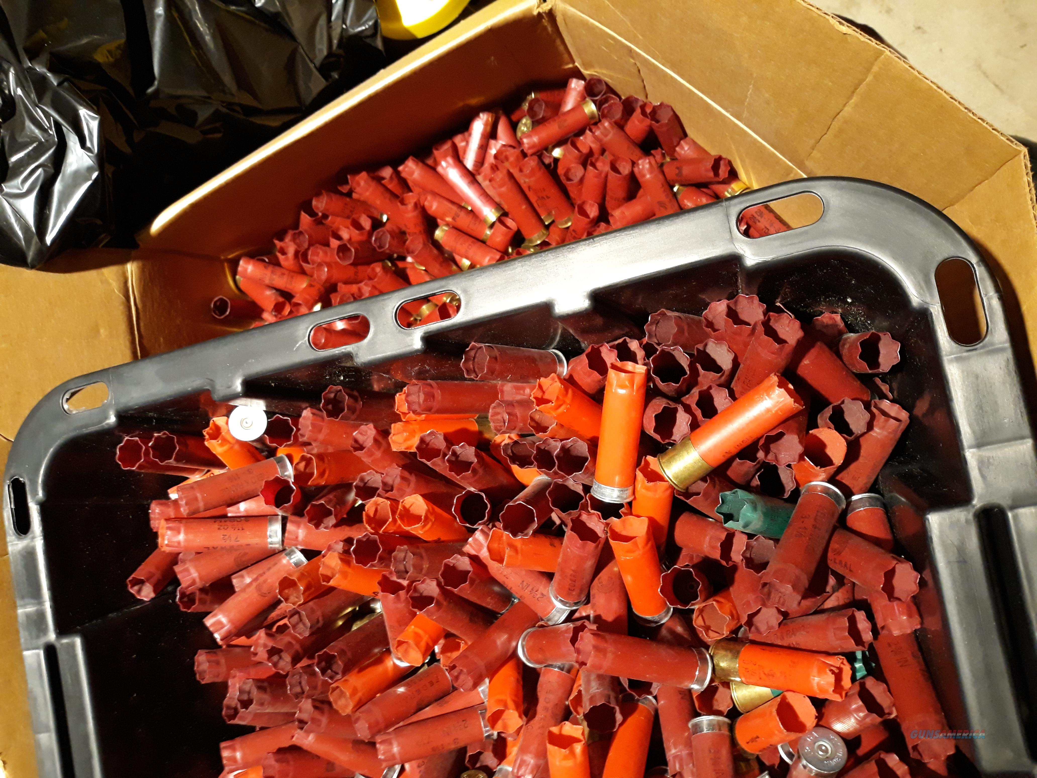 FS: Once Fired 12 Gauge Hulls for sale at Gunsamerica.com: 971131987