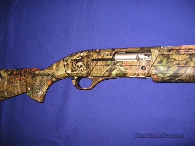 Winchester SX3 20 Gauge Semi-Auto S... for sale at Gunsamerica.com ...