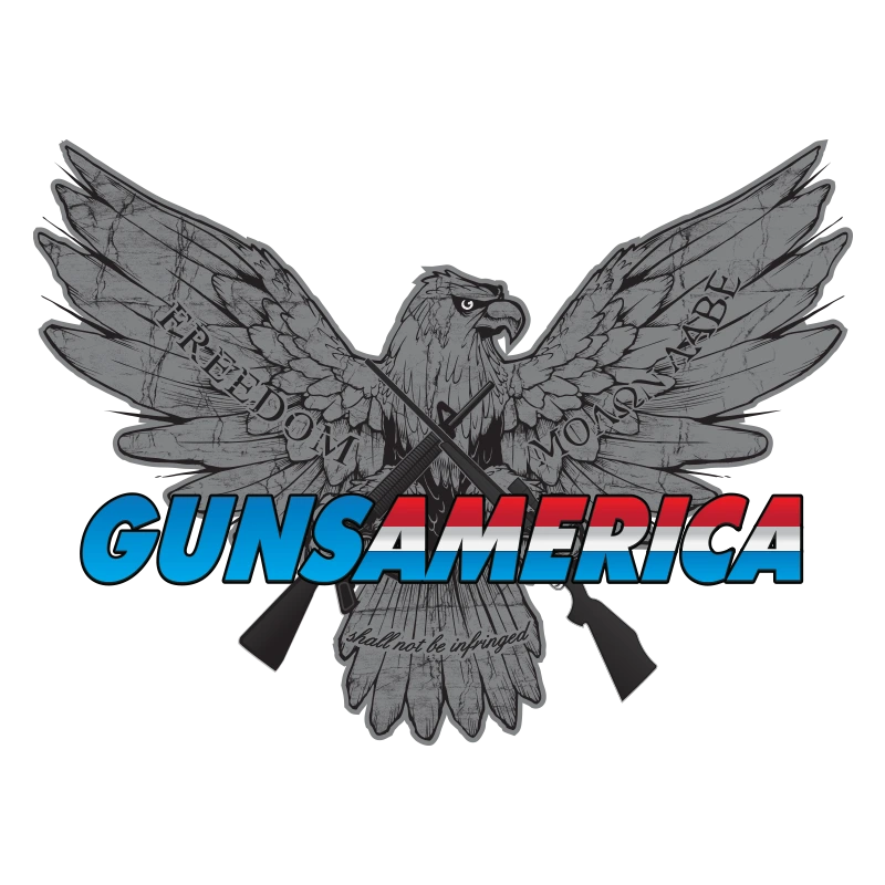 Why buy gun