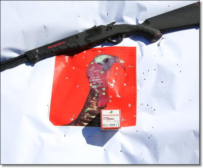 Savage Model 42 Combination Gun .22LR/.22WMR & .410 Shotgun - Review