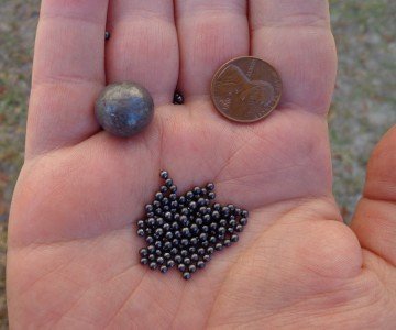 A sample of ammunition that may be used in the Fusil de Chasse. One large round ball for large game (top) or shot of varying sizes (bottom). 