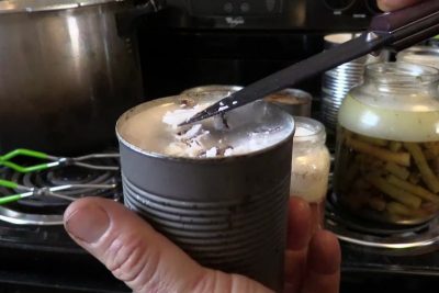 Canning with wax using this experimental method worked for me as well as any canning jar with a fresh lid, but this is way outside of approved FDA canning practices, so watch/read at your own risk. 