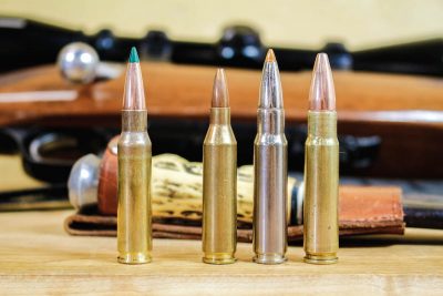 The .308 and descendants: L-R .308 Win., .243 Winchester, .338 Federal and .358 Winchester.