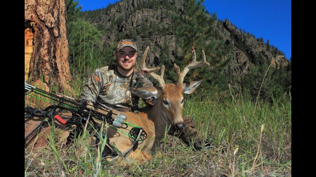 Top Seven States for Public Land Whitetails