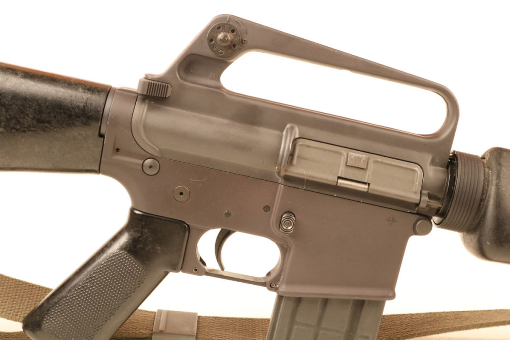 The Origin of the Species: The Model 602 M16