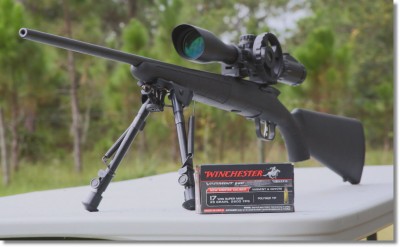 .17 Winchester Super Magnum Rimfire - Savage B-Mag New Gun Review