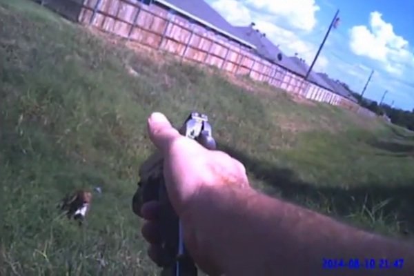 When is it okay to shoot man's best friend?