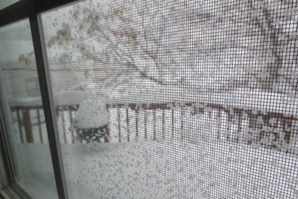 Five Must-Haves When You're Snowed In