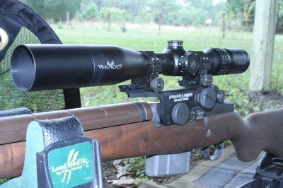 M1A Sniper - On the Cheap, or All the Way?