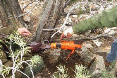 Nevada Park Rangers Find Winchester Model 1873 Under Tree